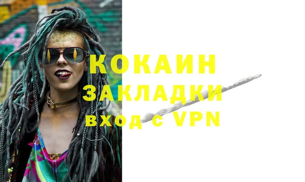 сатива Карпинск