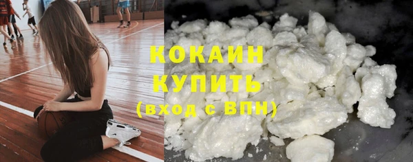 сатива Карпинск