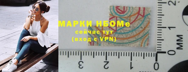 сатива Карпинск