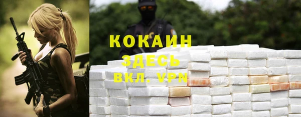 трава Карталы