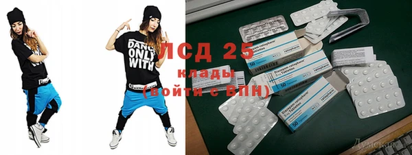 сатива Карпинск