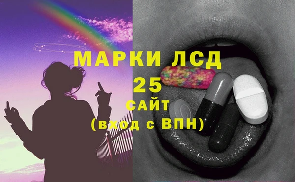 сатива Карпинск
