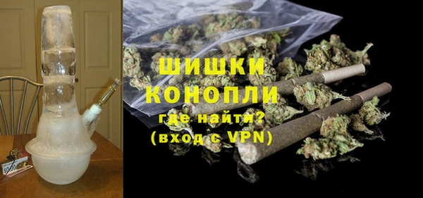сатива Карпинск