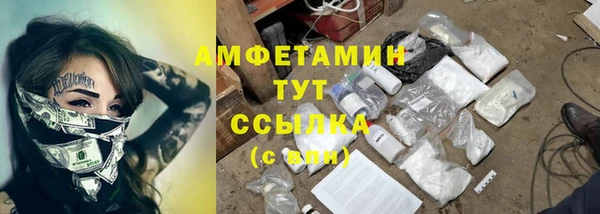 сатива Карпинск