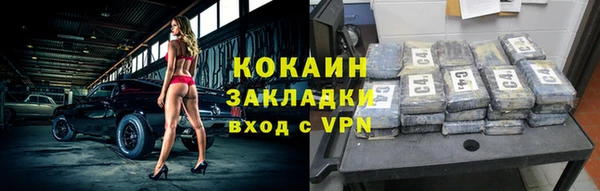 сатива Карпинск